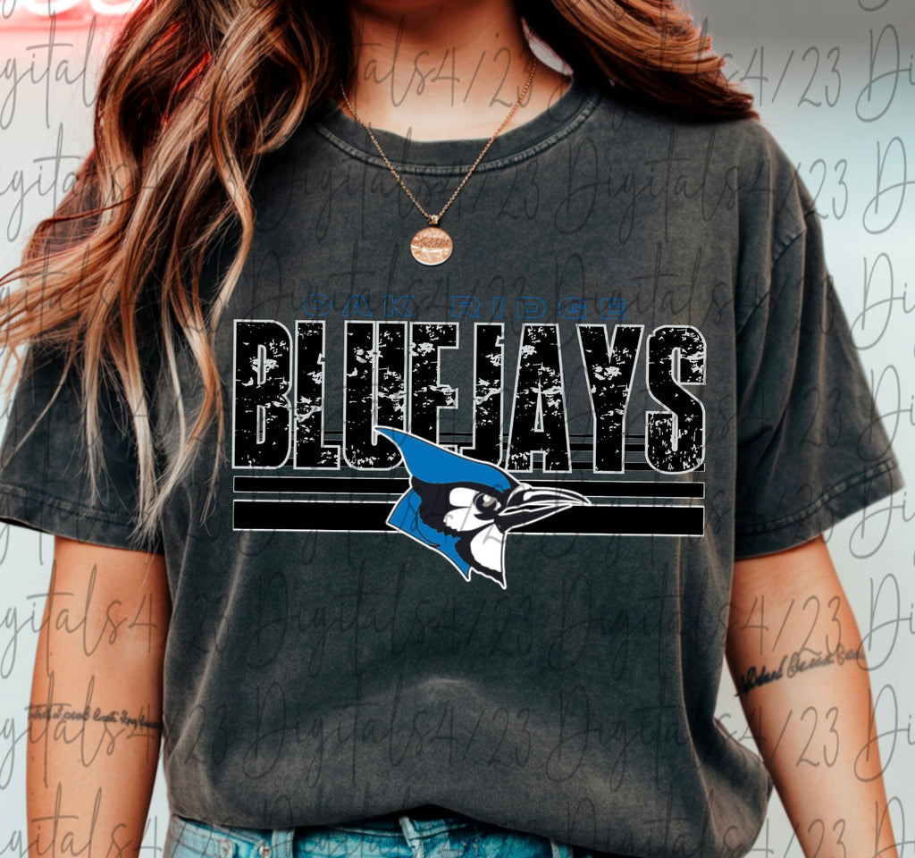 Oak Ridge Bluejays Strips Comfort Colors