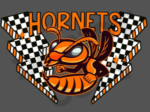 Hornets Orange Checkered Lightning