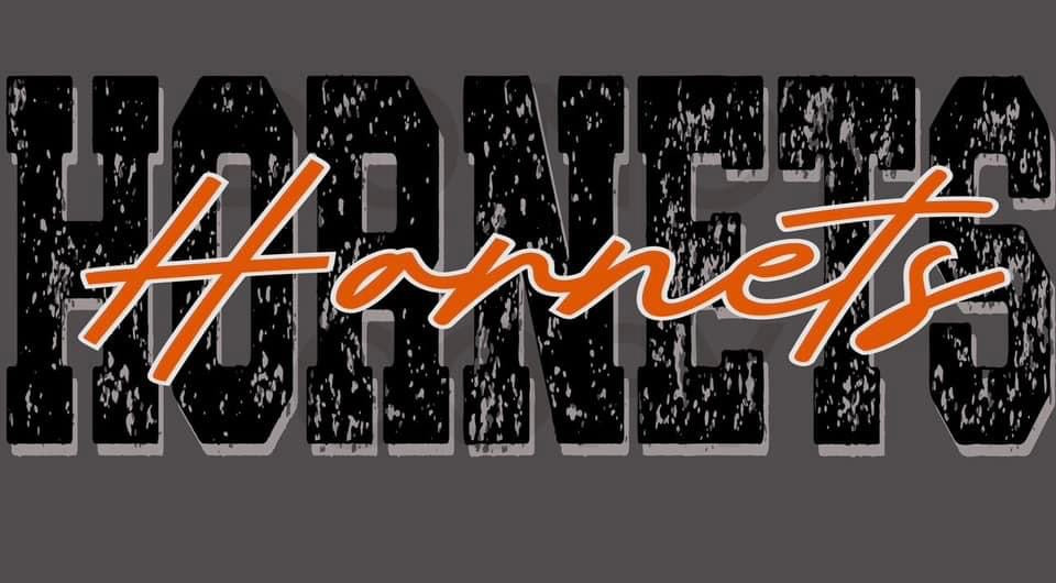 Hornets block and cursive orange