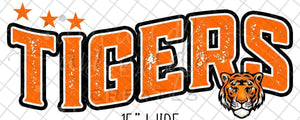 Tigers curved with stars mineral wash
