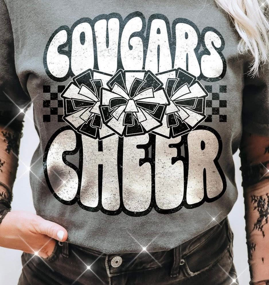 Cougars Cheer Youth