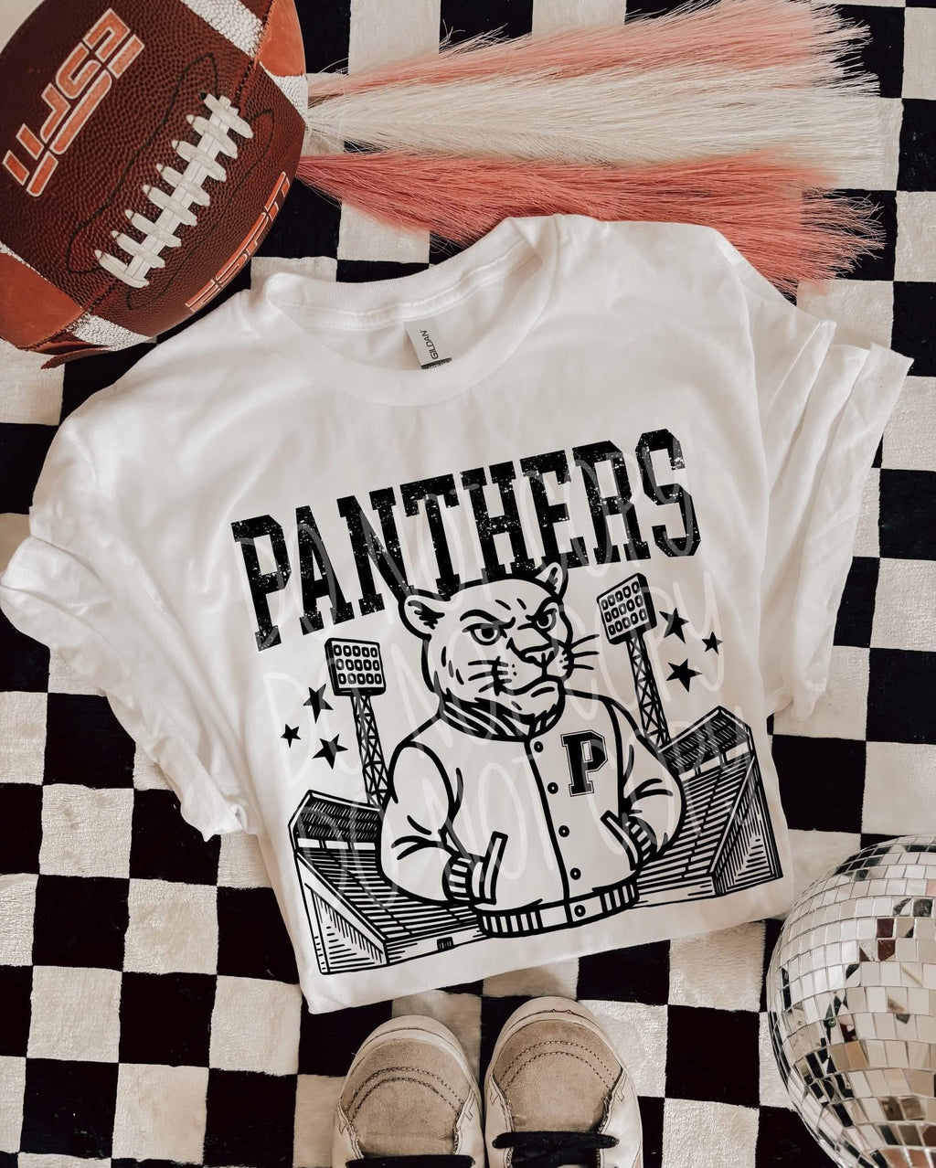 Panthers Stadium