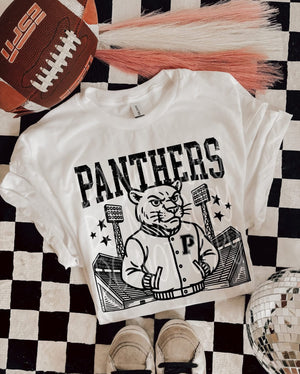 Panthers Stadium