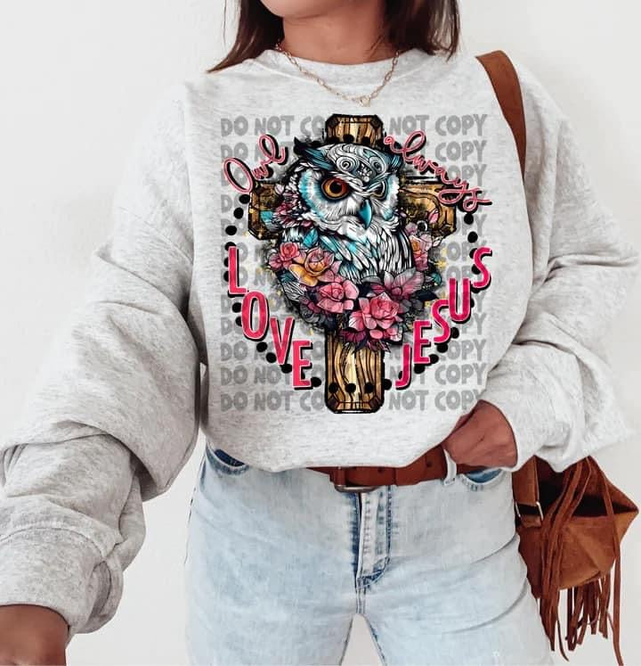Owl Always Love Jesus Long Sleeves