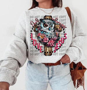 Owl Always Love Jesus Long Sleeves