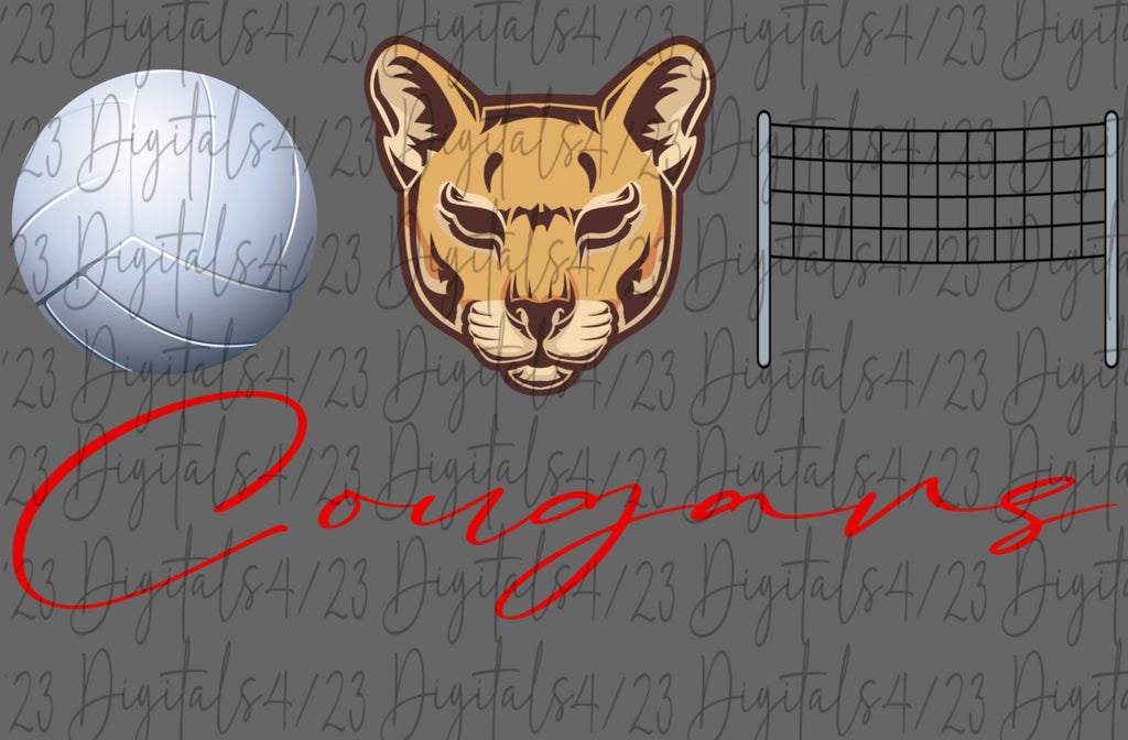 Cougars Volleyball Trio