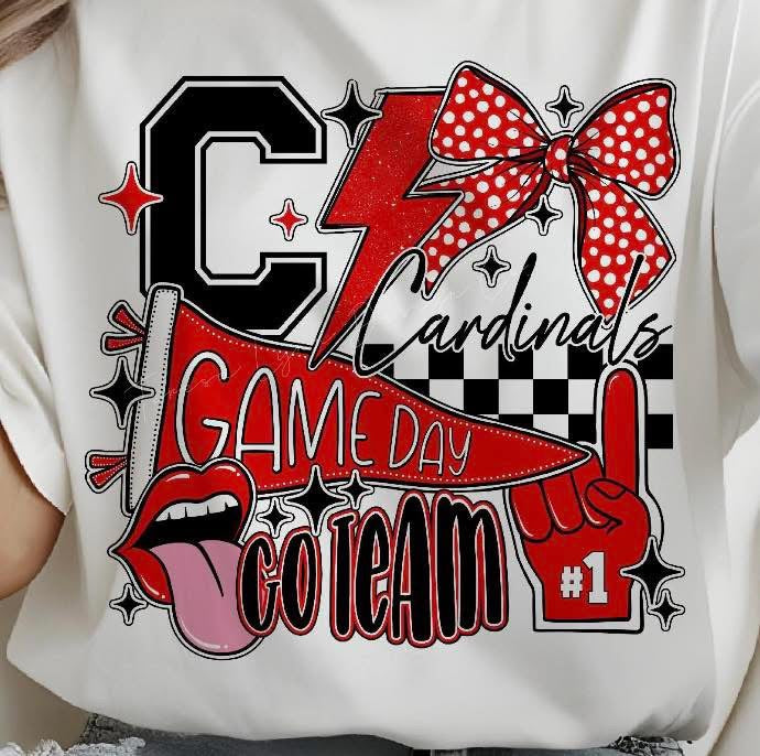 Cardinals Game Day Collage with pennant, Lightning and Bow