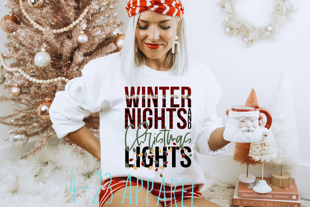 Winter Nights & Christmas Lights